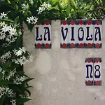 La Viola Willa